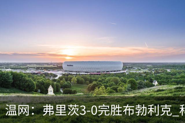 温网：弗里茨3-0完胜布勃利克 科博利费里挺进八强